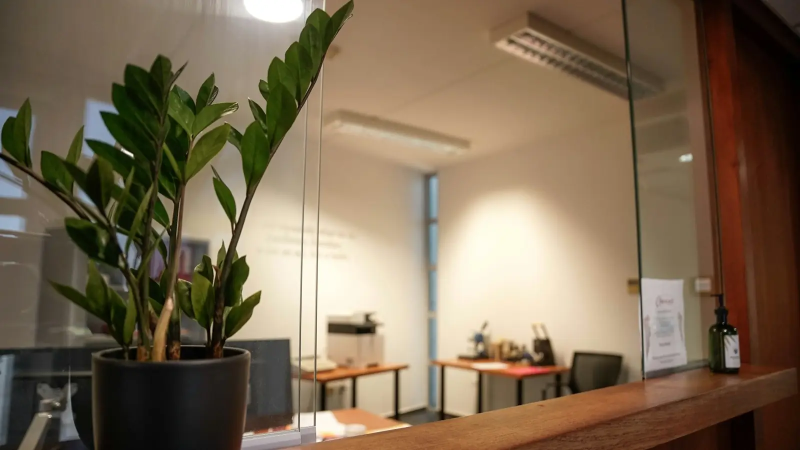 Un ufficio moderno e luminoso
